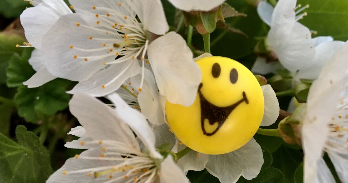 На 1 април отбелязваме Международния ден на шегата. Той се