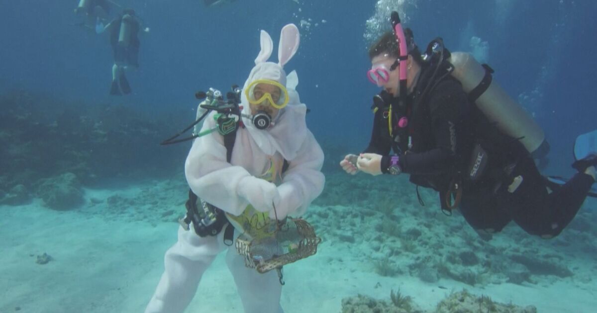 Великденски заек гмуркач скри истински сварени яйца във водите край