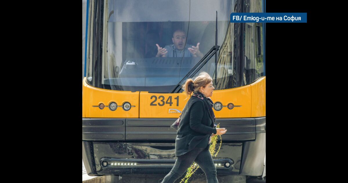 Снимката на забързана жена с върбови клонки пред потеглящ трамвай,