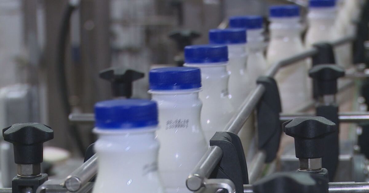 Нов продукт на пазара – свежо прясно мляко“. То трябва