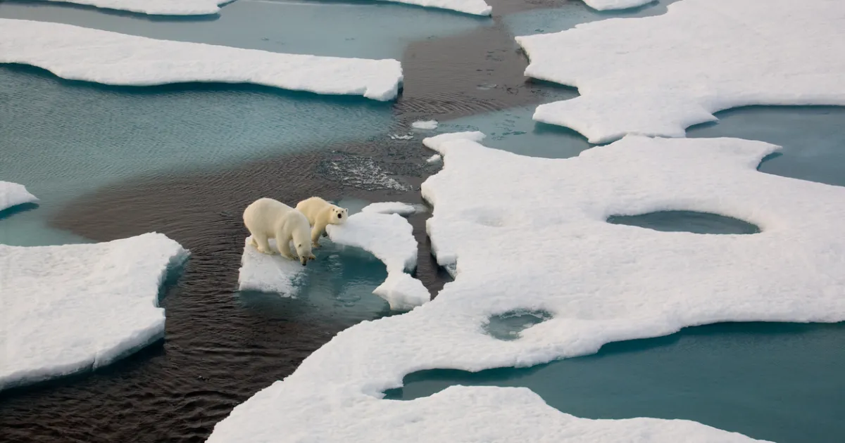 Рекордни температури, бушуващи пожари, опустошителни наводнения и нестихващи земетресения… и