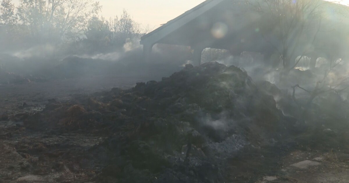 Снимка: Няма загинали патици при пожара в птицефермата край Враца