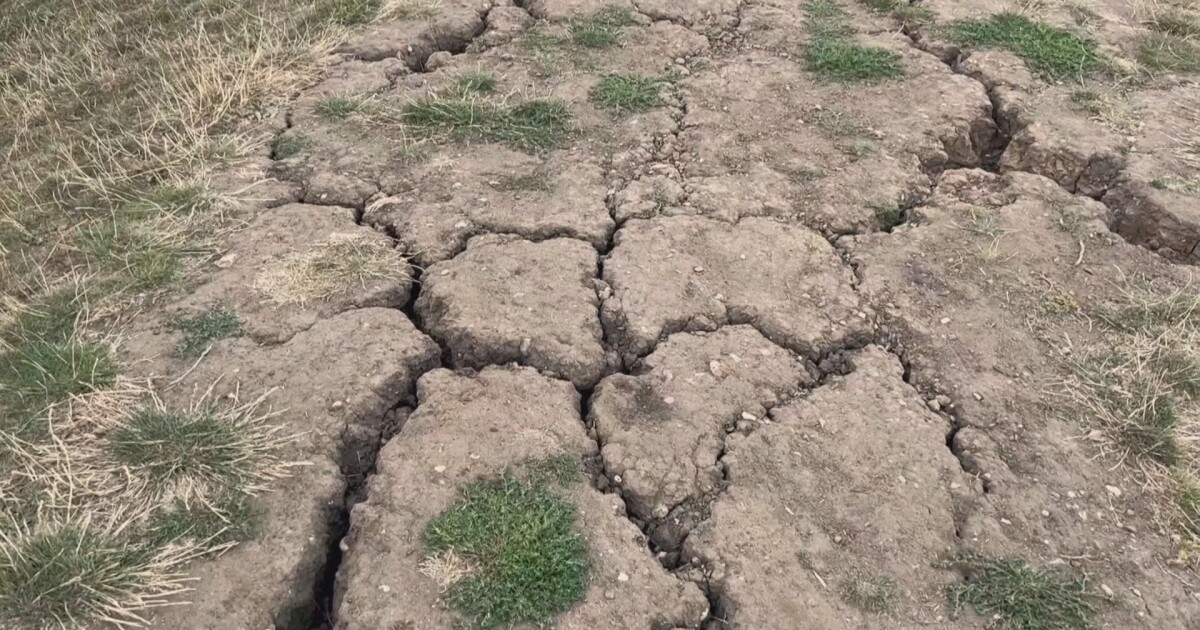 Европа преживява най-тежката суша от близо 5 века насам. Това