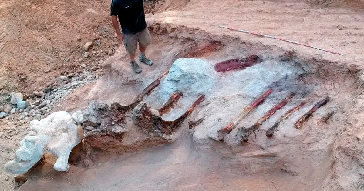 Домашните ремонти, освен досадни, могат да бъдат и много интересни.