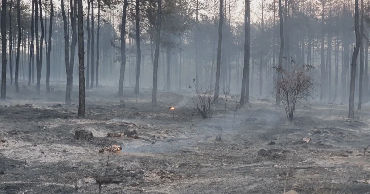 Близо 3 хиляди декара горят край свиленградските села Левка и
