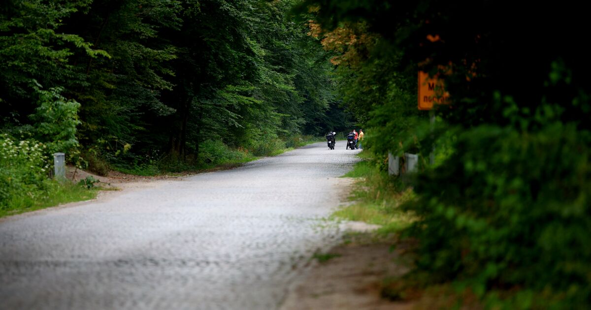 Продължава разследването на убийството на Алексей Петров в полите на