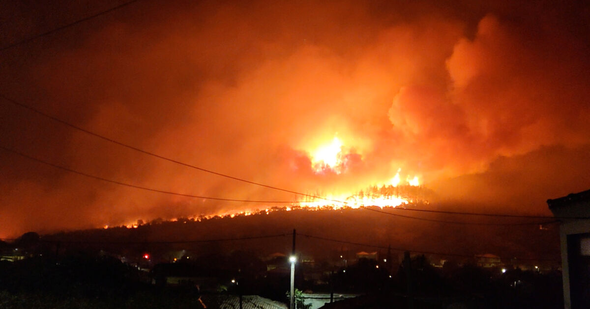 Най-малко 26 души са загинали при пожара край Александруполис. Това