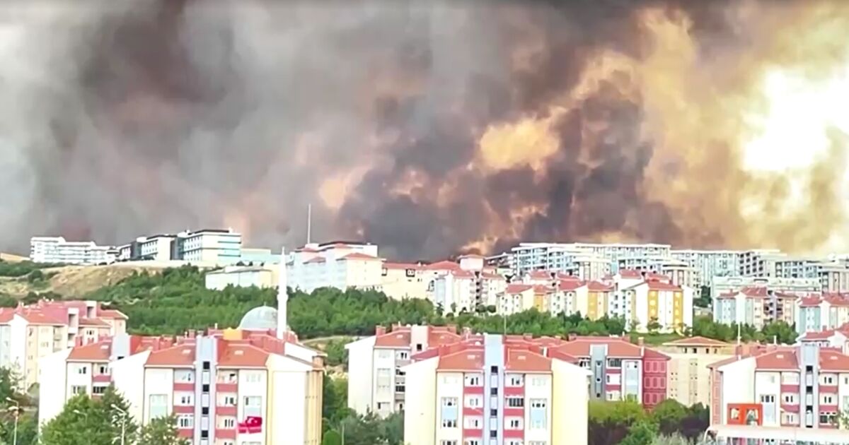 Големи горски пожари и в Турция, в района на Чанаккале. Властите