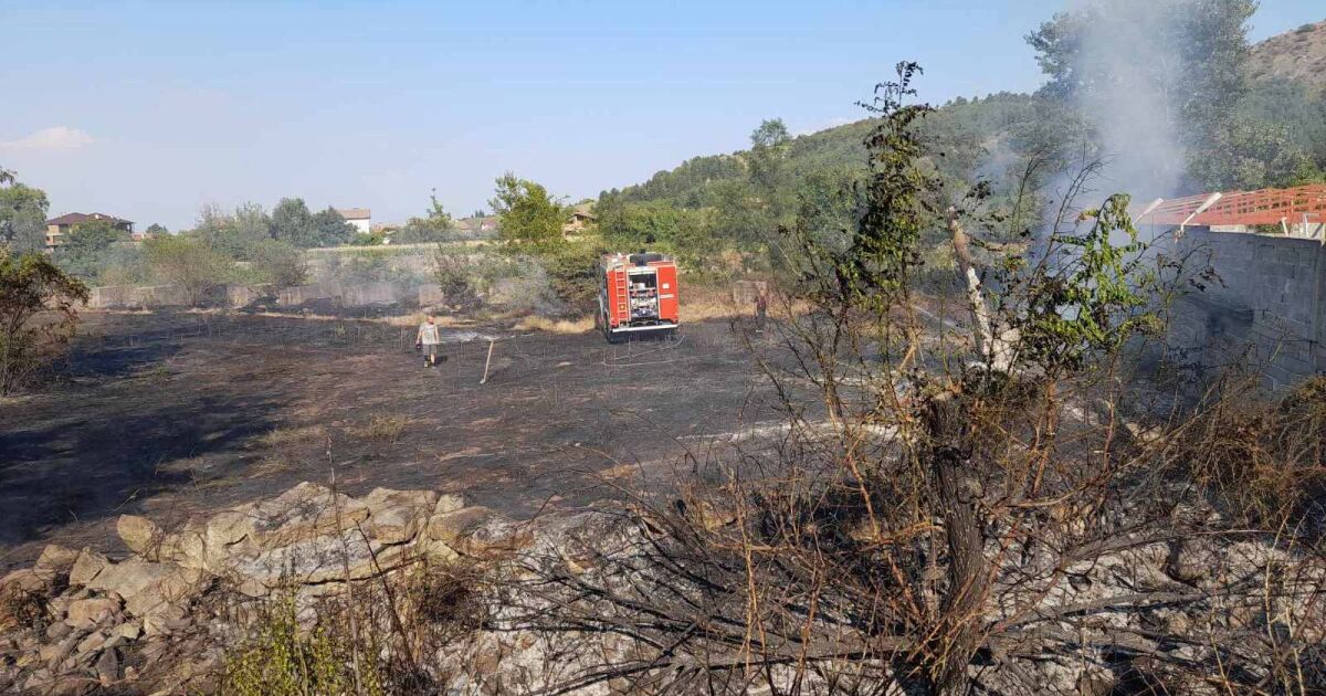 Сухи треви горяха в село Варвара край Пазарджик този следобед.