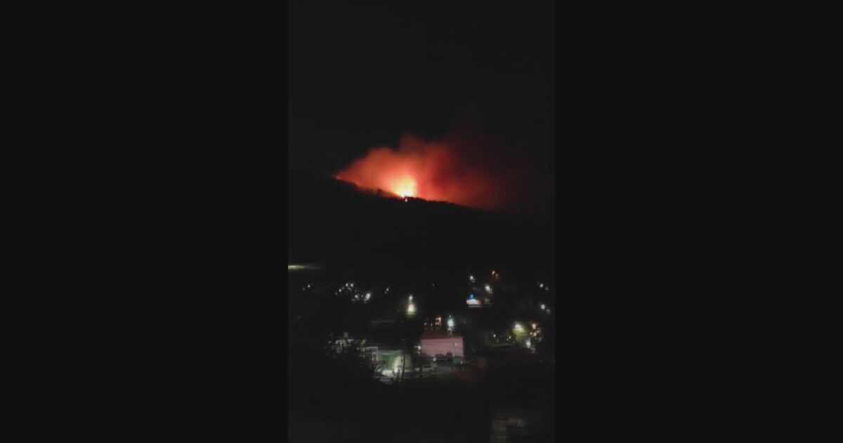Голям пожар гори тази вечер в гората над Радомир.Заснетите кадри