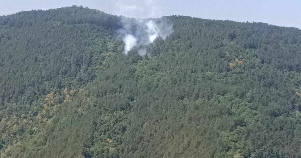 Пожарът край връх Баба е овладян, съобщиха от пожарната в Пловдив. Три