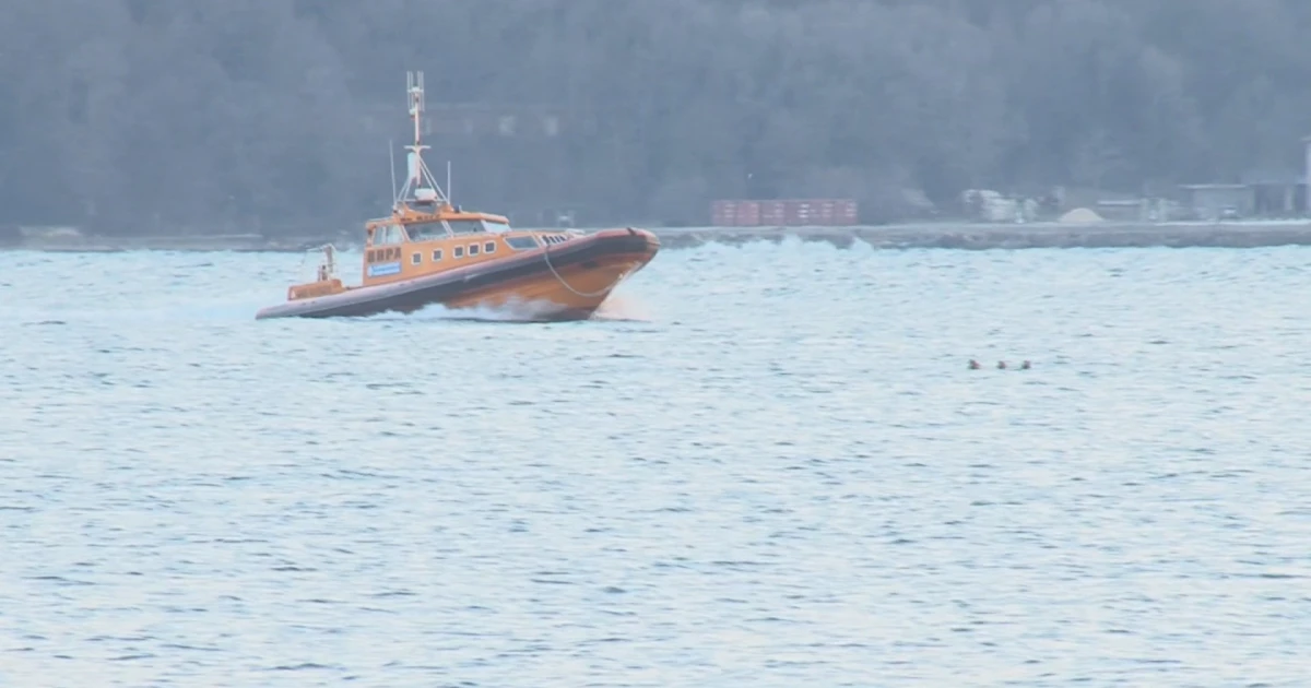 Група от 38 мигранти от Афганистан и Сирия са били