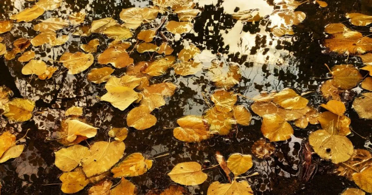 В петък ни очаква облачно време и на много места