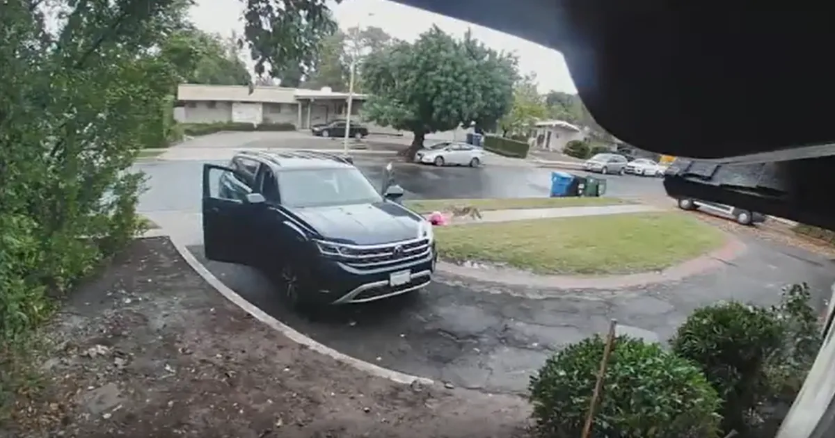 Койот 2-годишната Ария пред дома ѝ в американския град Лос