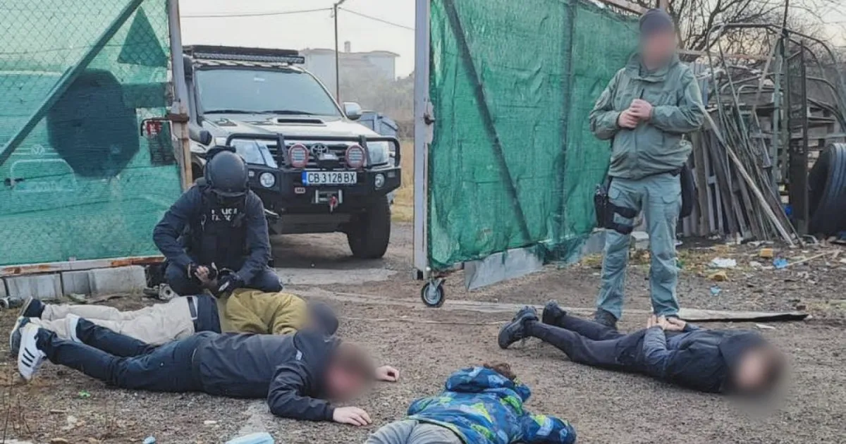 Оранжерия с голямо количество марихуана е разбита при операция на