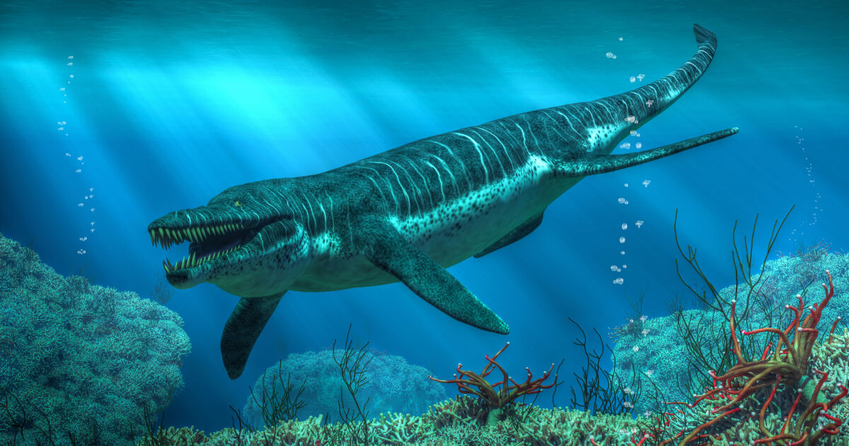 Черепът на колосално древно морско чудовище е извлечен от скалите