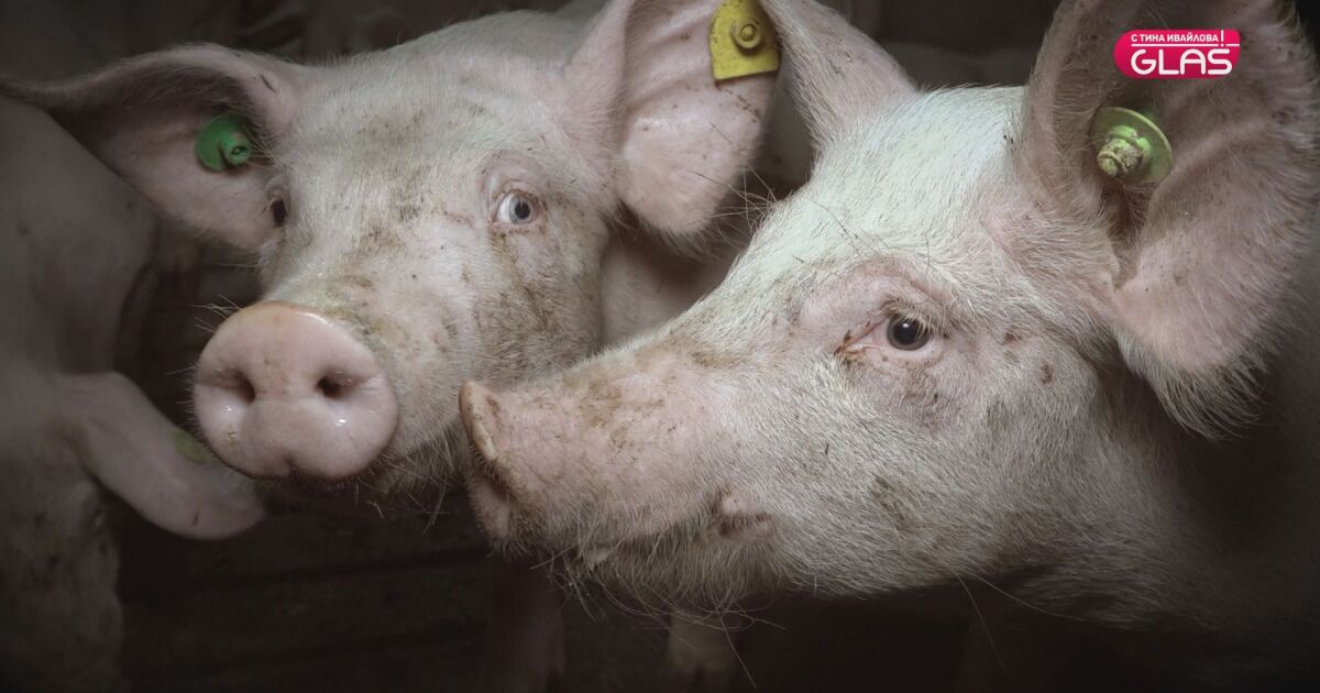 Историята е за имот, оценен за милиони, който е придобит