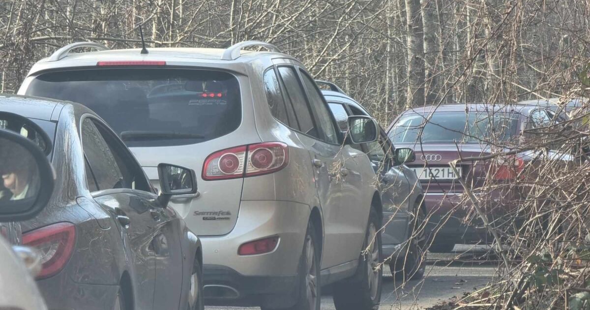 Километрична опашка от автомобили има на българо-турската граница при ГКПП