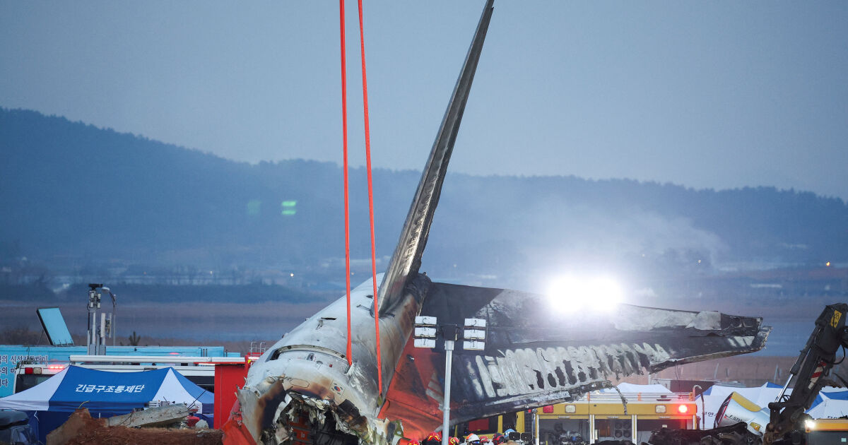 Разследващите твърдят, че са открили доказателства за удар от птица