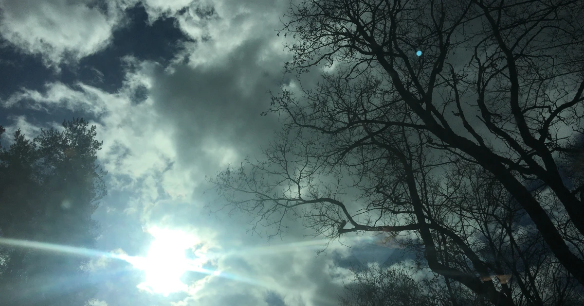 НИМХ обяви жълт код за силен вятър в 7 области