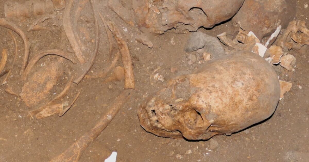 Удължен череп на жена отпреди 2000 години, открит в Стара
