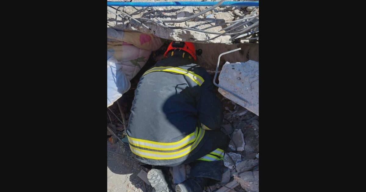 Българско куче намери оцелял под руините срутила се жилищна сграда