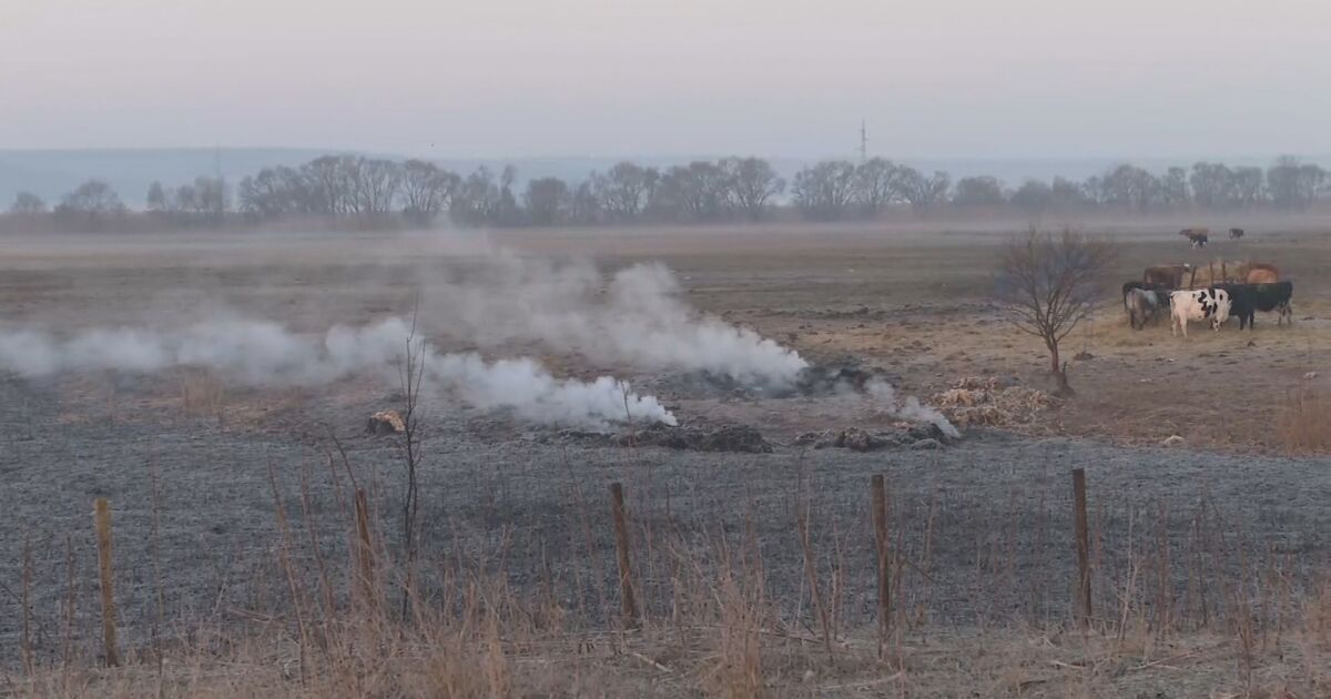 вчера следобед защитена местност Вая“ край Бургас. Късно вечерта огънят