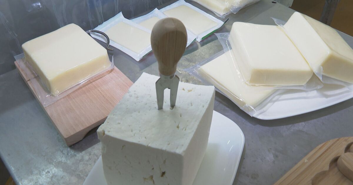 Държавното предприятие обяви още по-ниски цени на сиренето и кашкавала