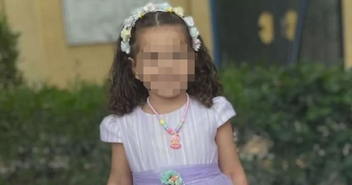 Шестгодишно момиченце, изчезнало в Газа миналия месец, е намерено мъртво,