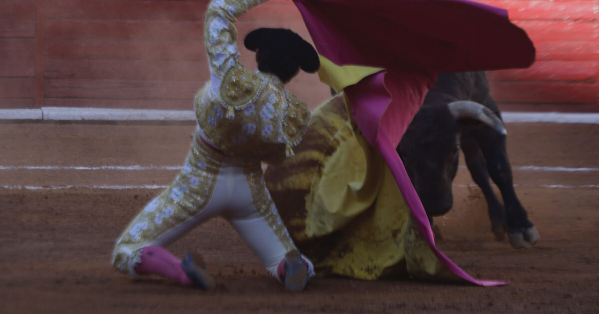Зрелищната борба с бикове беше възстановена в Мексико, но първата