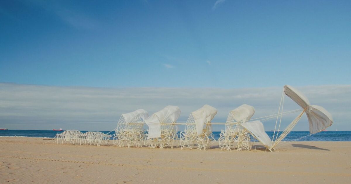 Николай Николов е видео журналист в Ню Йорк Таймс“. Работата