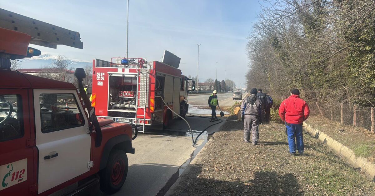 57-годишна жена пострада, след като дърво пада върху кола на