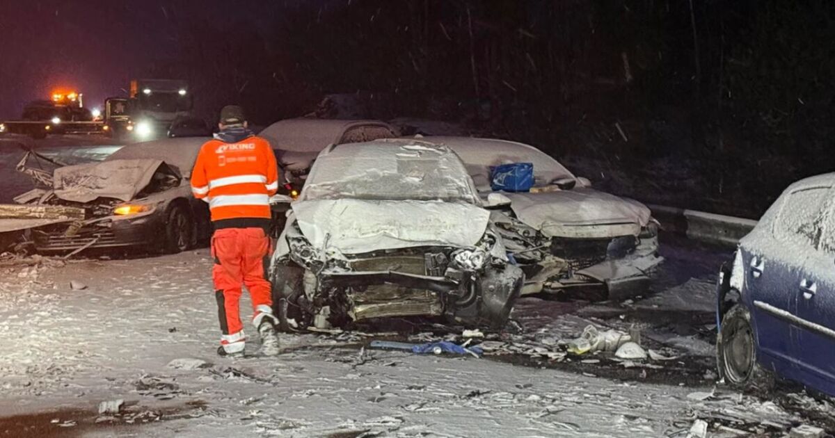 Силната снежна буря в Източна Швеция предизвика две верижни пътни