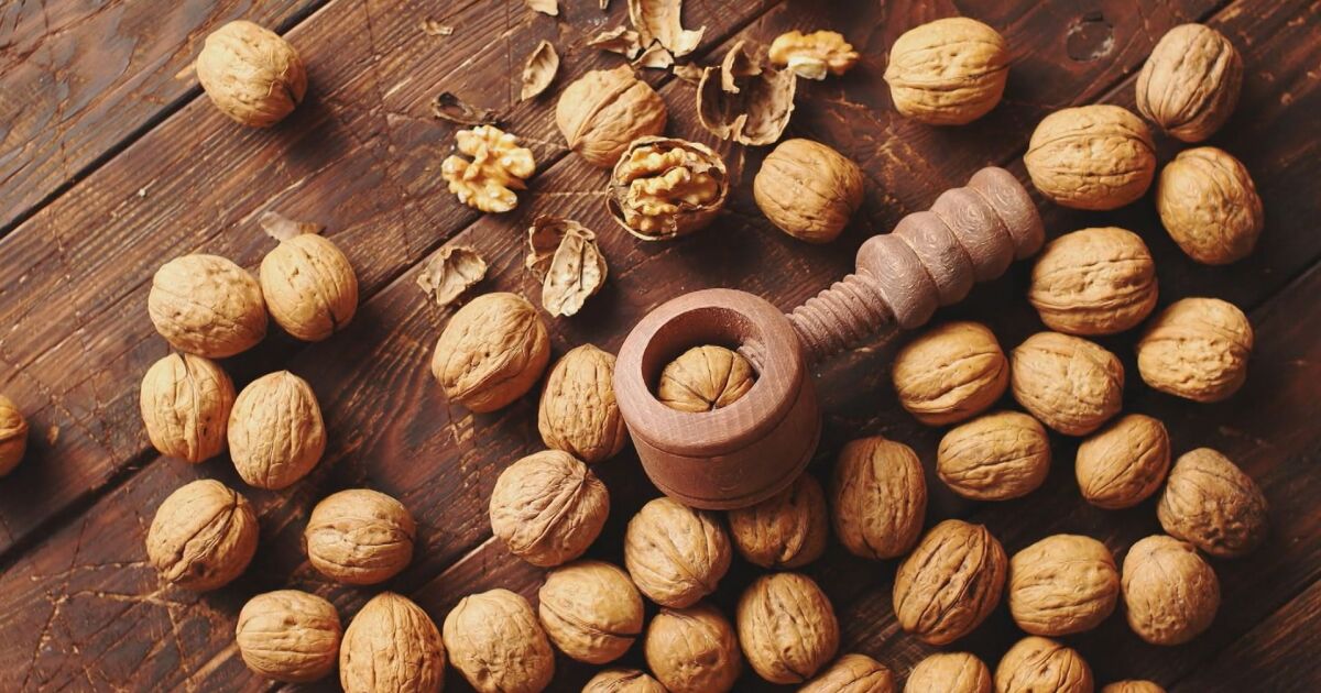 В унисон с кампанията ни Първата крачка в студиото на