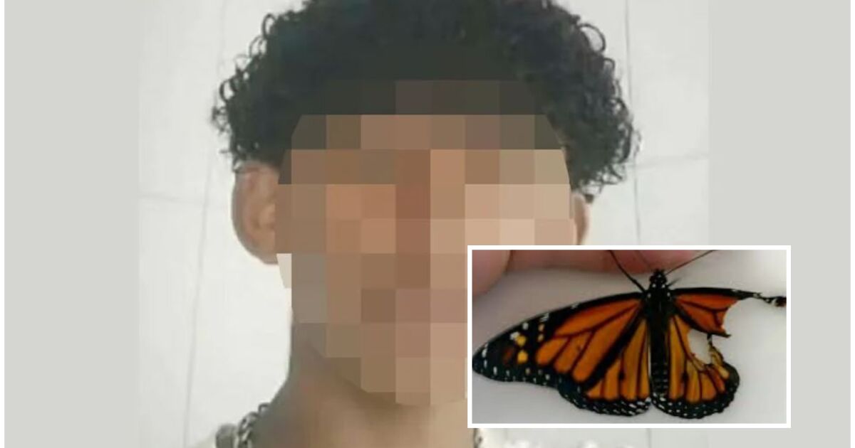 Онлайн предизвикателство доведе до смъртта на дете и предизвика ужас