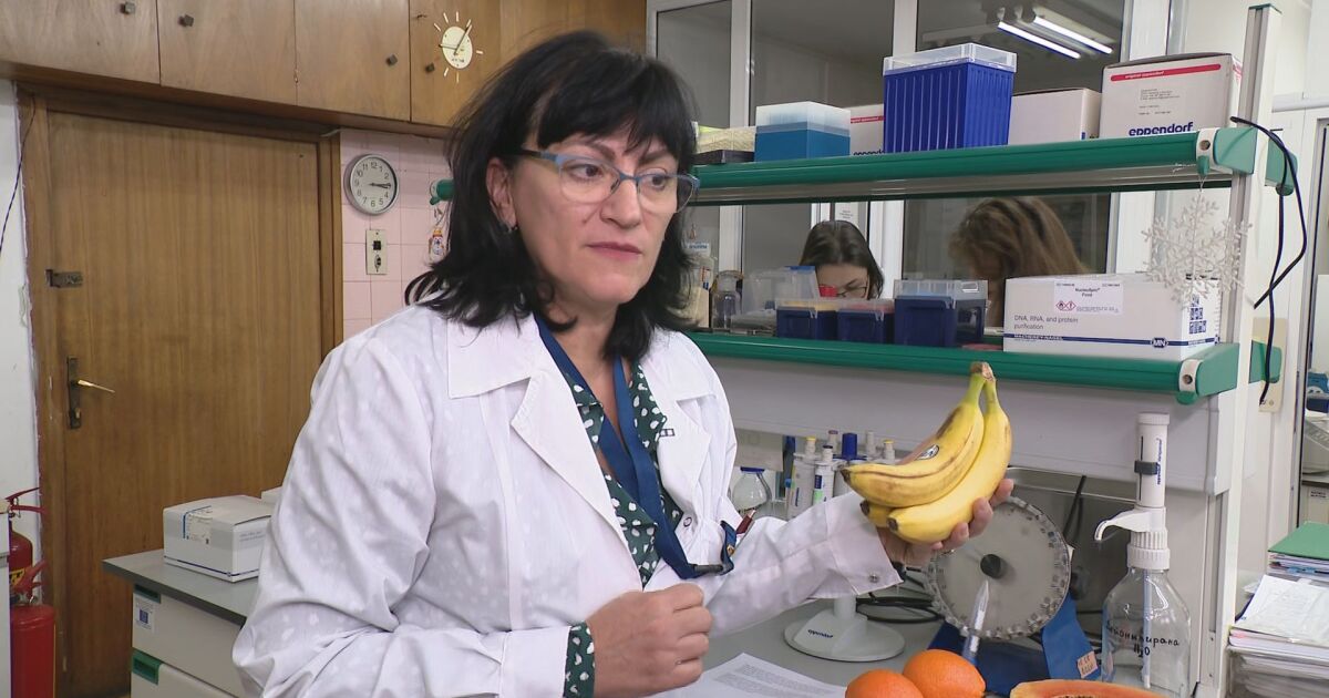 Как да разпознаваме ГМО плодовете и зеленчуците на пазара? Ориентир