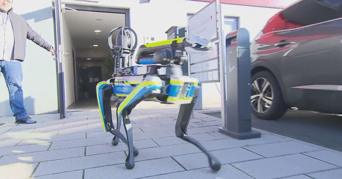 Куче робот може да следи за спазването на обществения ред