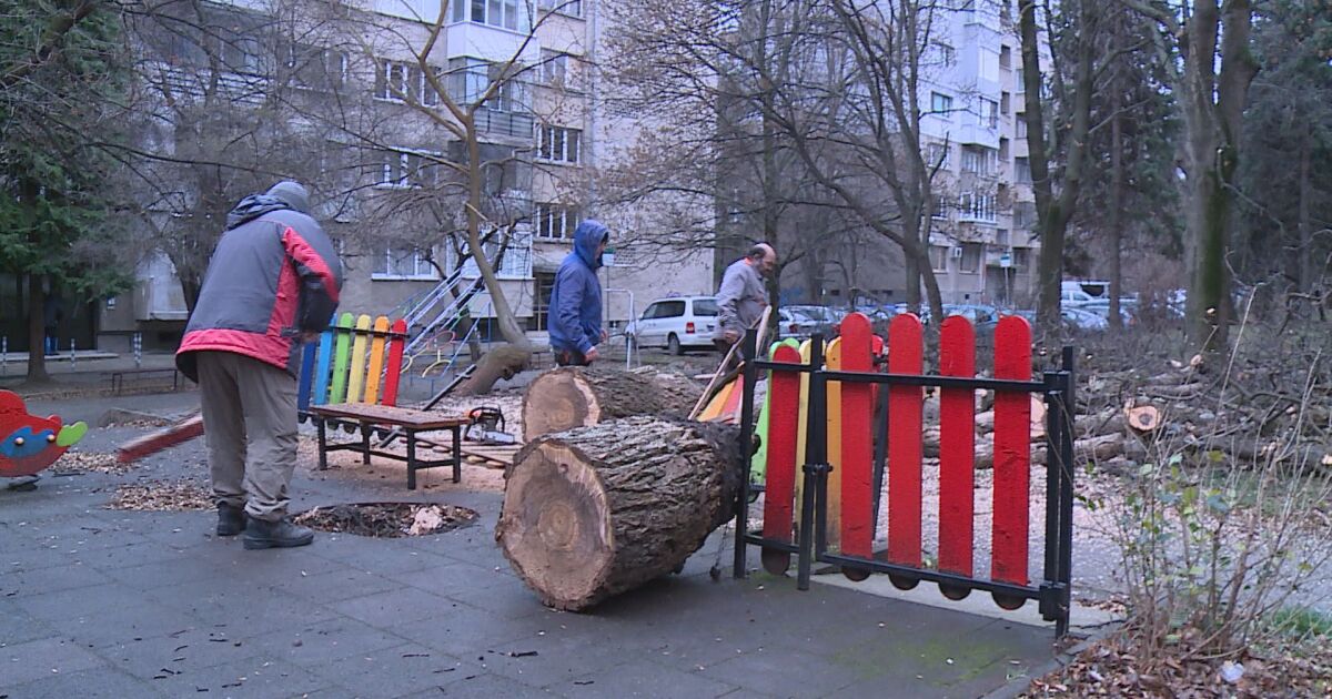 Голямо падна върху детска площадка в София. За щастие няма