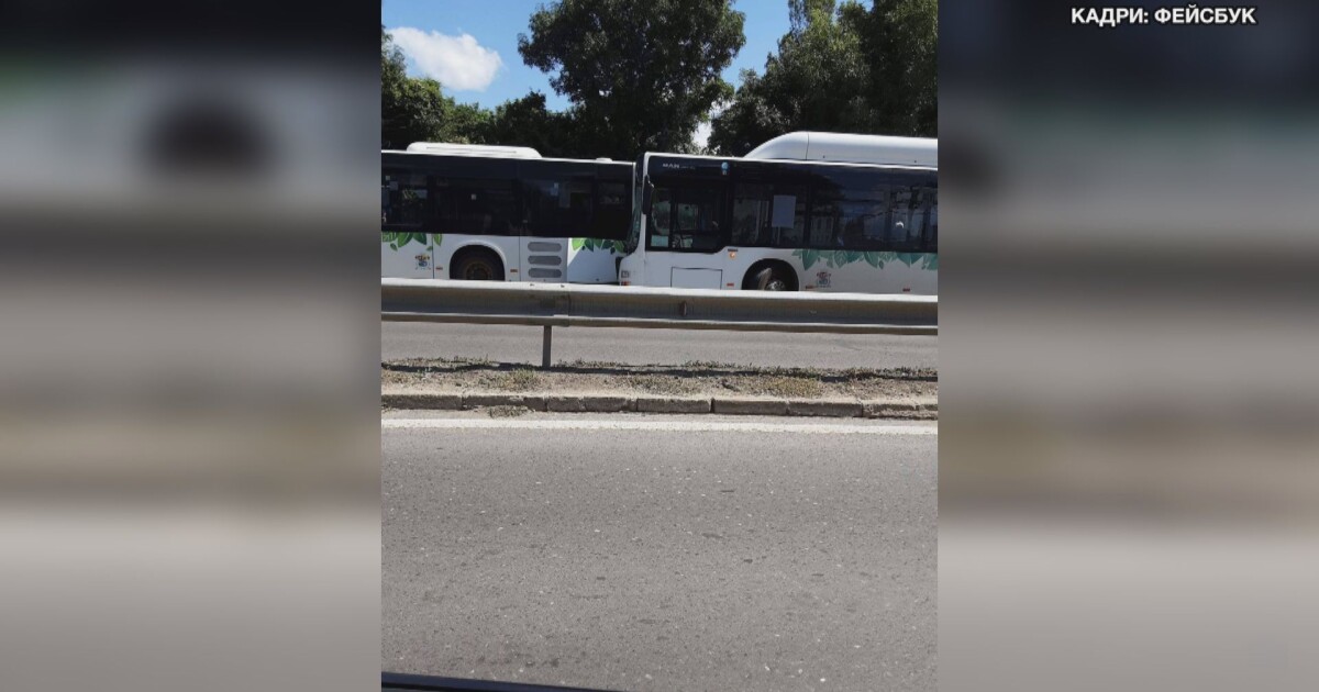 Два автобуса на градския транспорт се удариха в София. Инцидентът