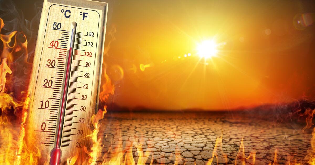 Червен код за горещо време беше обявен в Северна Испания.