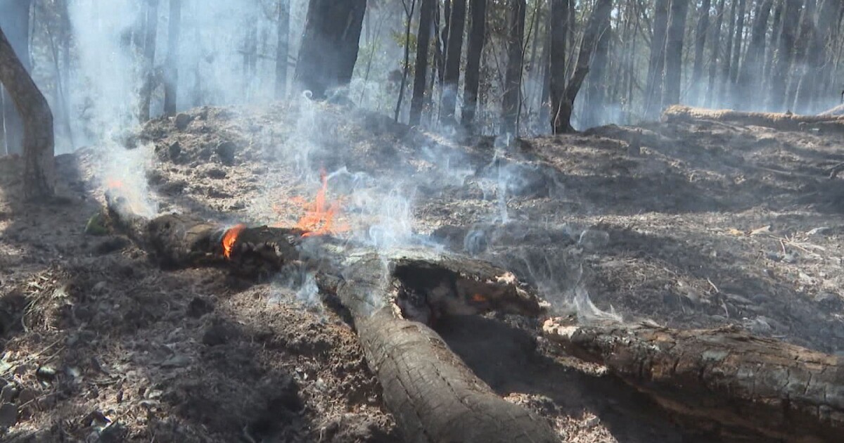Пожарът, който възникна между селата Калугерово и Лесичово край Пазарджик,