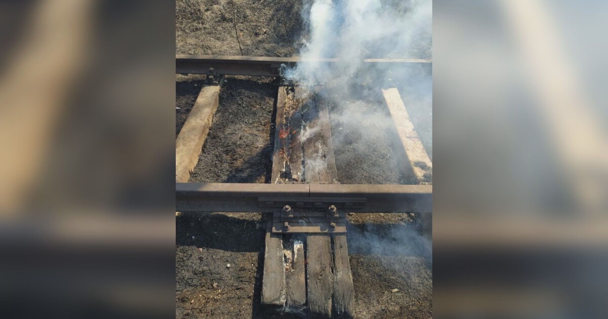 Заради горещото време сухи пламнаха в района на гара „Пловдив