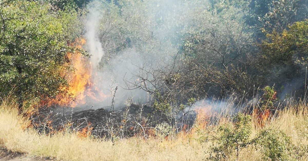 Пожарът в бургаското село Изворище е овладян. Няколко локални огнища