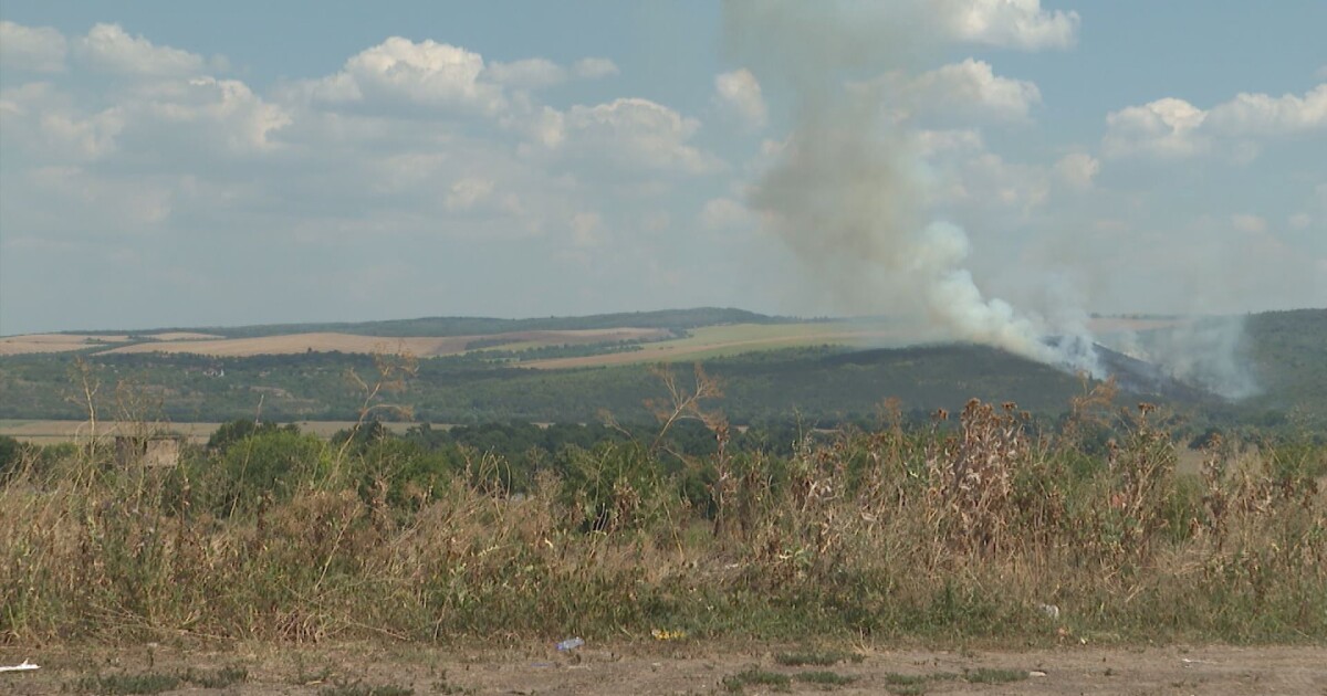 Пожар бушува край Полски Тръмбеш. Огънят е тръгнал от сухи