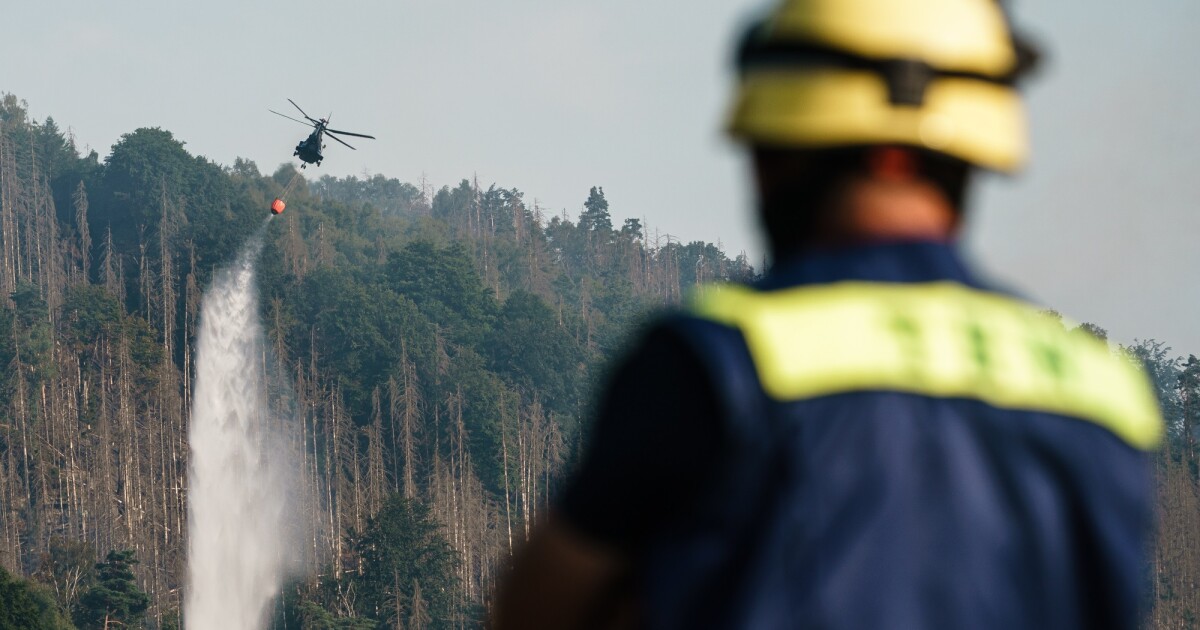 Горският пожар в германския национален парк „Саксонска Швейцария“ продължава и
