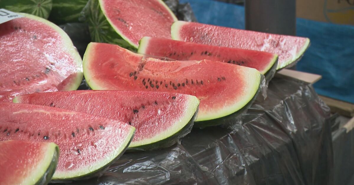 Watermelons Contaminated with Acetone: Investigation Launched by Food Agency