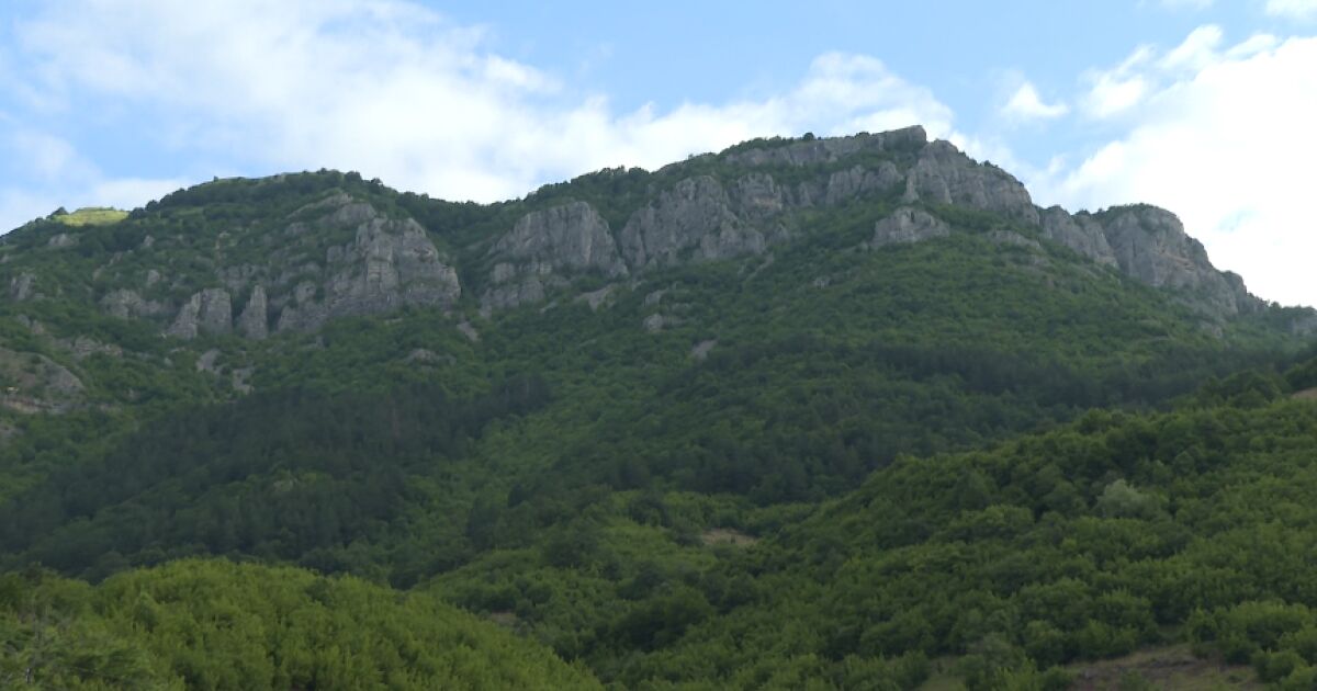 Високо във Врачанския Балкан лятото и хубавото време предлагат възможности за