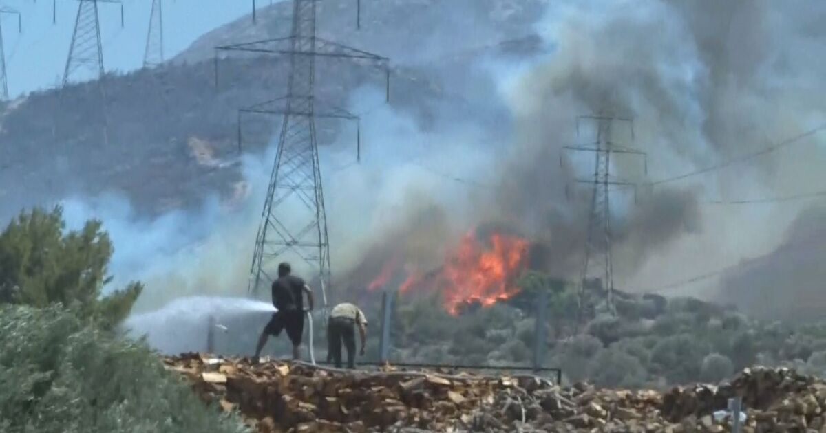 Хора и животни бяха евакуирани в гръцката столица Атина заради