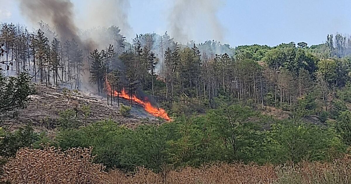 Голям пожар гори в момента до русенските квартали Средна кула