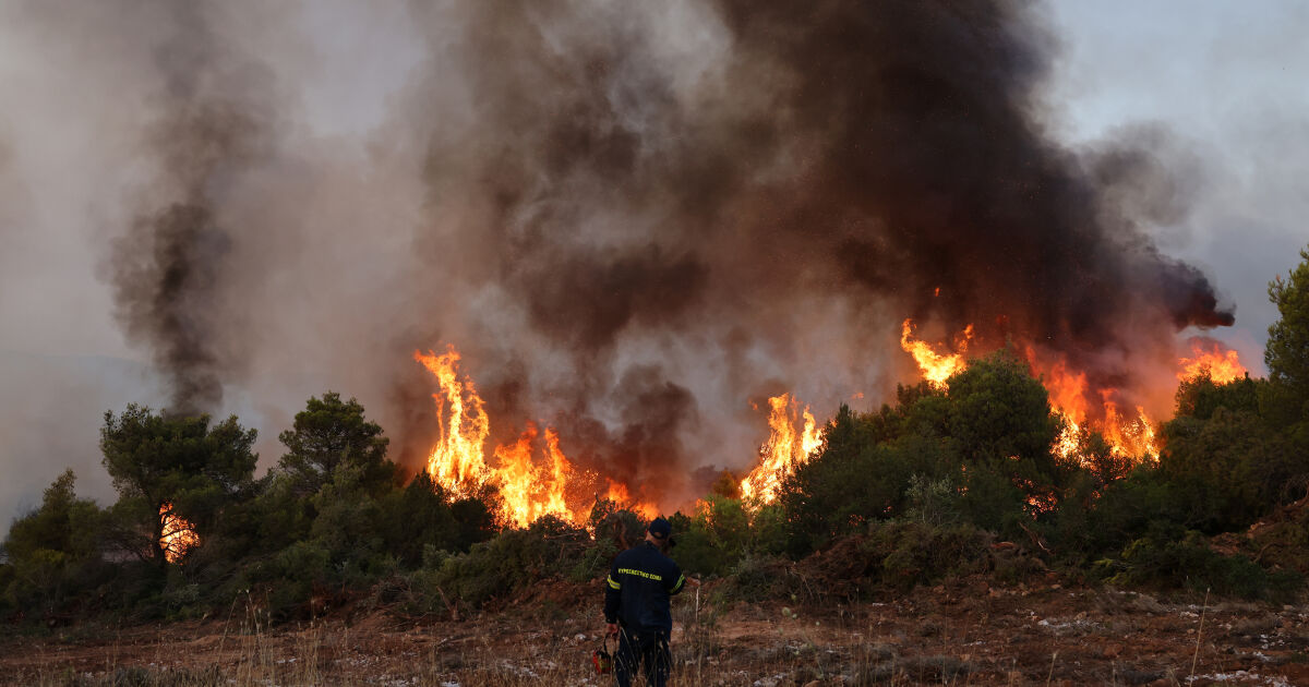 Стотици горски пожари бушуват по целия свят заради летните горещини.